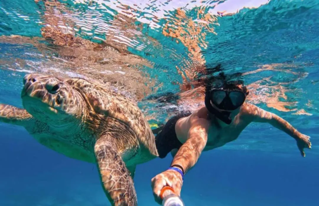 🐢 Marsa Mubarak Snorkeling Adventure
